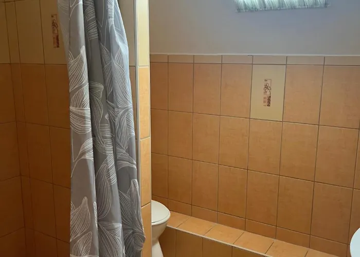 Roland Haz 발라톤엘