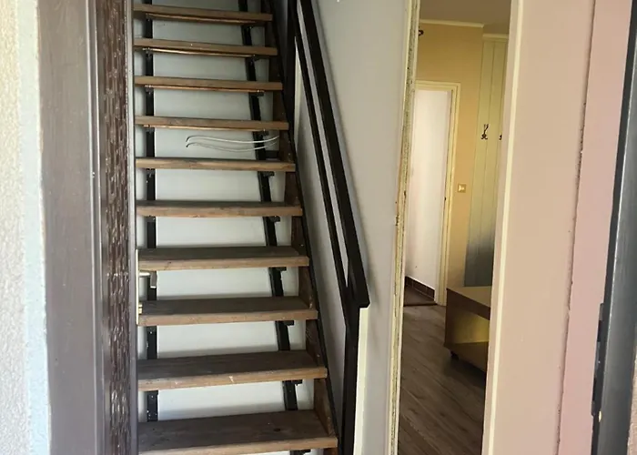 Roland Haz 발라톤엘