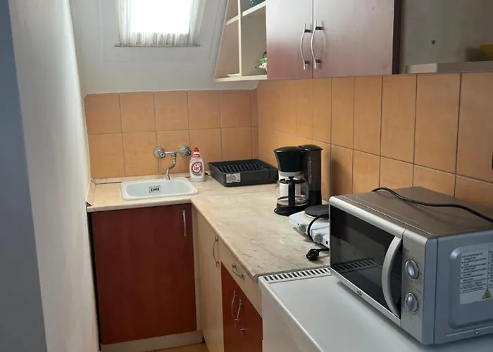 Roland Haz * 발라톤엘